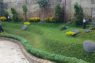 Tukang Taman Minimalis